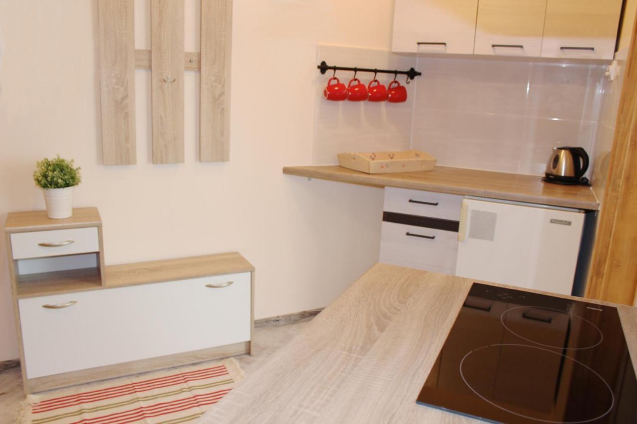 Apartament Bazatatry Stokrotka ザコパネ エクステリア 写真